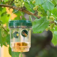 ROVARCSAPDÁK ÉS RIASZTÓK