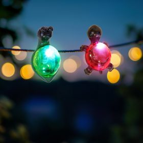   Szolár dekoráció csipesszel - teknős, méhecske, csiga, katica - 10 x 6 x 14 cm - fehér LED