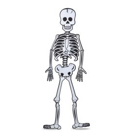   Halloween-i dekoráció - csontváz - habszivacs - 85 x 18 cm