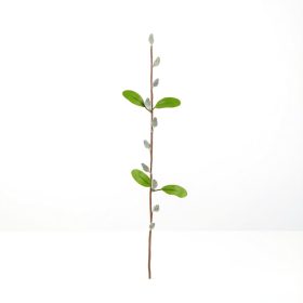 Barkaág - szálas - 58 cm