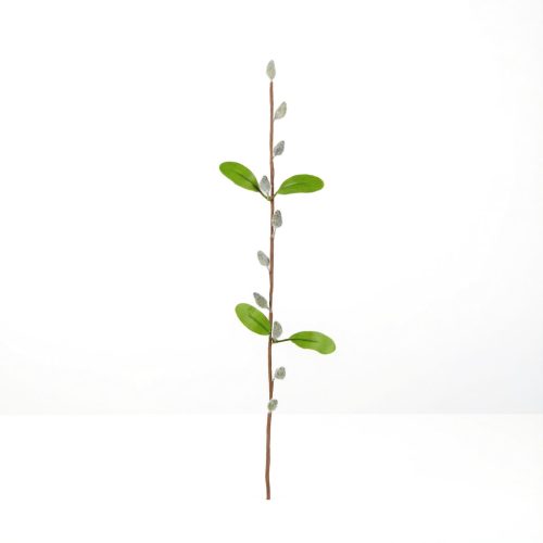 Barkaág - szálas - 58 cm