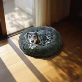   Kutyafekhely - kör - "XL" méret - 80 cm - szürke