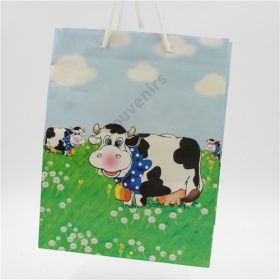 DÍSZZACSKÓ 24/240 23x18x8 cm