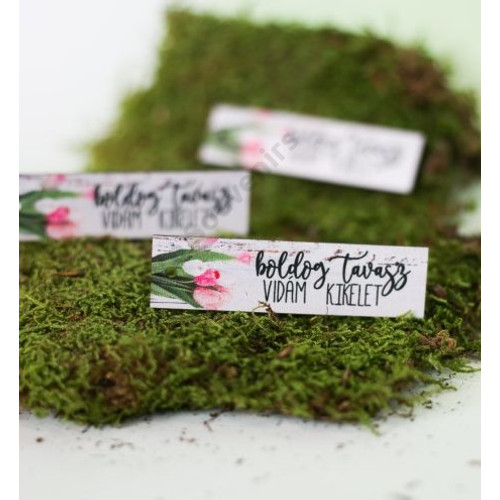 FA TÁBLÁCSKA-BOLDOG TAVASZ,VIDÁM KIKELET 