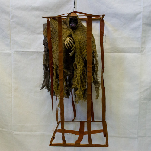 CSONTVÁZ KETRECBEN 6/24 30x57 cm