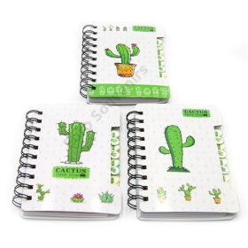 NOTESZ KAKTUSZOS 18/270 14x9.5 cm. 3 FÉLE