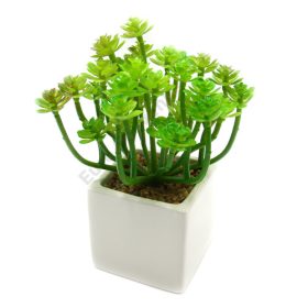 MŰKÖVIRÓZSA KASPÓBAN 9/108 16x6.5 cm.