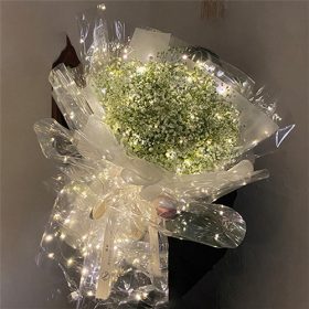 CELOFÁN LEDES 1/200 60x60 cm