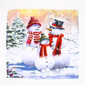 PÁRNAHUZAT 4/200 HÓEMBERES 43,5x43,5 CM