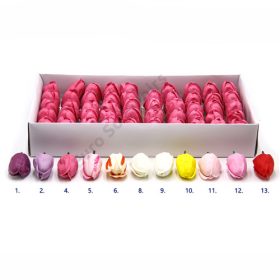 SZAPPANTULIPÁNFEJ 50 DB 1/20 11 SZÍNBEN