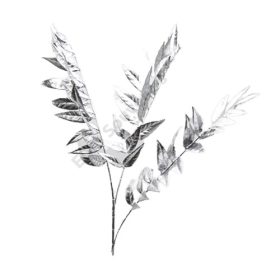 ÁG EZÜST 36/360 90 cm