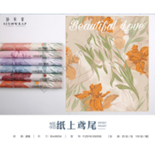 CSOMAGOLÓPAPÍR 20 DB 1/60 50x58 cm 6 SZÍNBEN