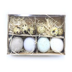 TOJÁS TYÚK, FÜRJ 10 DB 1/60 5,5 cm; 3 cm 