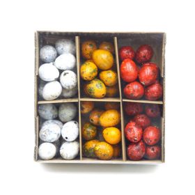 TOJÁS FÜRJ 60 db 1/60 3 cm 3 SZÍNBEN