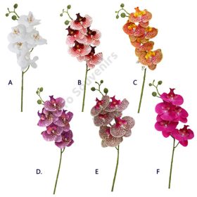 SELYEMORCHIDEA 5 FEJES 48/288 71 cm 6 SZÍNBEN