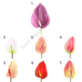   GUMIVIRÁG FLAMINGÓ 12/144 SZÁR: 67,5 cm; FEJ: 14x20 cm 7 SZÍNBEN