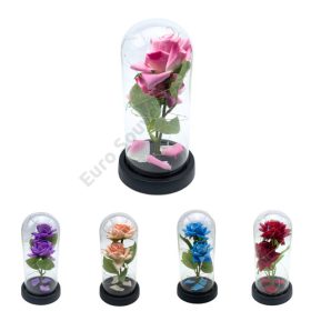 RÓZSA ÜVEGBÚRÁBAN LEDES 1/40 11x21 cm 5 SZÍNBEN