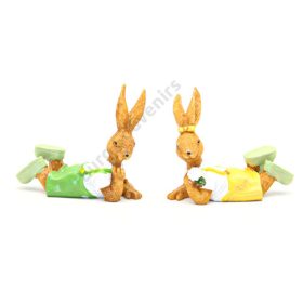 NYUSZI HASALÓ 4/288 7,5x7 cm 2 FÉLE