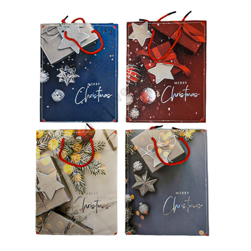 AJÁNDÉKTASAK KARÁCSONYI 12/720 18x23x10 cm 4 FÉLE