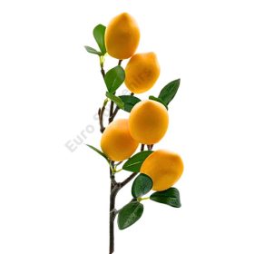 CITROMFA ÁG 1/360 60 cm