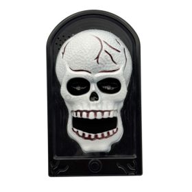 AJTÓCSENGŐ KOPONYÁS 1/60 11x20 cm