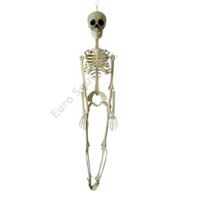 CSONTVÁZ 4/12 1,5 MÉTER