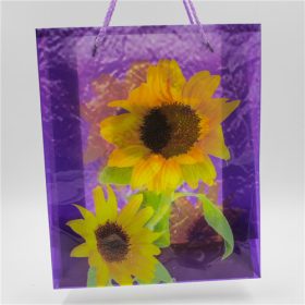 AJÁNDÉKTASAK 12/960 27x22,5x8 cm