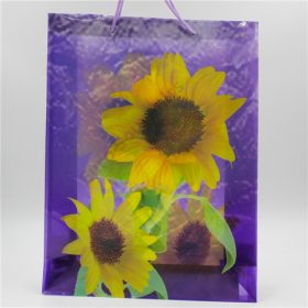 AJÁNDÉKTASAK 12/540 38x29x9 cm