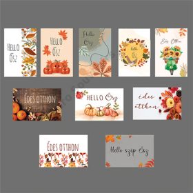 Kísérőkártya 10db/csomag Hello Ősz;Édes Otthon 4x6cm