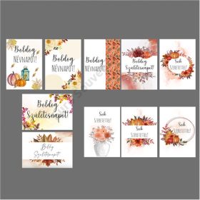  Kísérőkártya 10db/csomag Szülinap,Névnap,Sok szeretettel őszi mintás 4x6cm