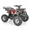 BENZINMOTOROS QUAD 125 CCM