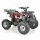 BENZINMOTOROS QUAD 125 CCM