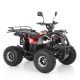 AKKUMULÁTOROS QUAD