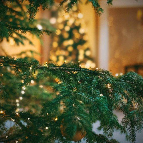 LED fényfüzér választható méretben és színben-480 LED-es -melegfehér