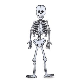   Halloween-i dekoráció - csontváz - habszivacs - 85 x 18 cm