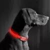 LED-es nyakörv - akkumulátoros - M méret - piros