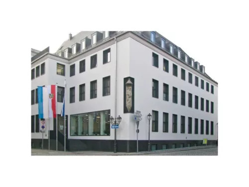 CELO Műanyag dübel csavarral R 10-80 TX (5 db)