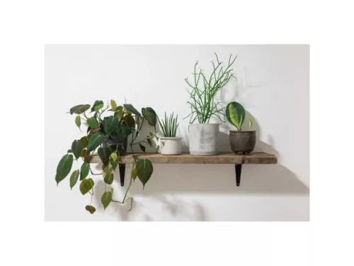 CELO BLISZTER-HRM roppantós fém gipszkarton dübel 5-16 RH (4 db)