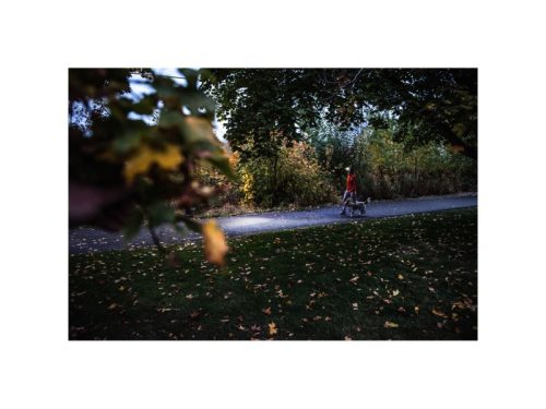 LEDLENSER Akkus fejlámpa HF4R Core 500 lm / 130 m, Li-ion, fekete