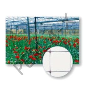 Növénytartó háló 15x15cm, 1,2x1000m SZ-120/8 2002887