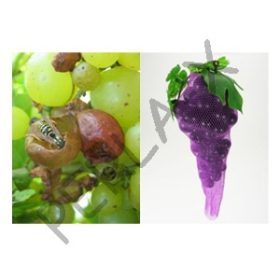 Darázs elleni védőháló 50db/csomag (2019922)