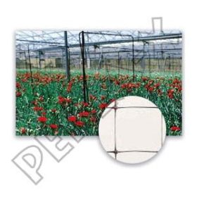 Növénytartó háló 17x15cm, 2x50m U-200/12