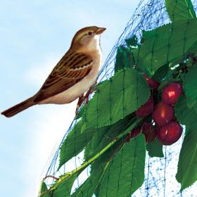 M-400 Madárkár ell.háló M-200 2x5m