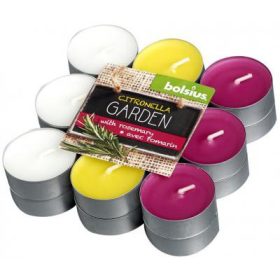   Teamécses citronella mix 18db/csomag vegyes színekben, rozmaring