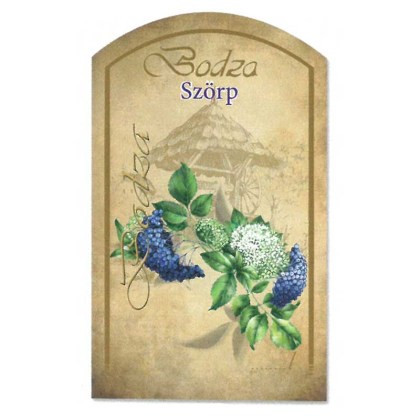Szörpös címke - BODZA (10db/cs)