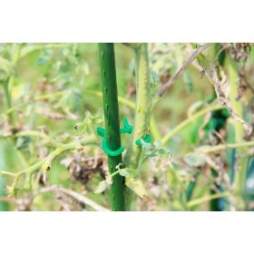   Növényrögzítő csipesz (kicsi, közepes, nagy - 12 db/cs.)