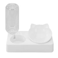 Etetőtálak macskáknak